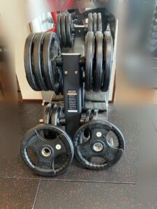 EVOLGEAR オリンピックバーベルプレート 220kg プレートラックセット　E7054