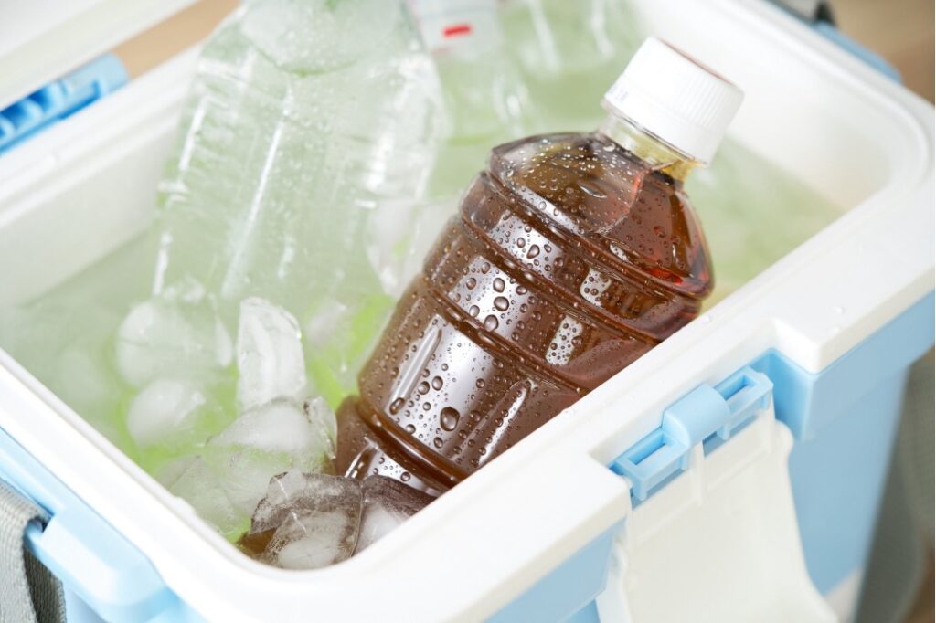 クーラーボックスのおすすめ商品はどれ?どこで買えばいい? image 233 1024x682