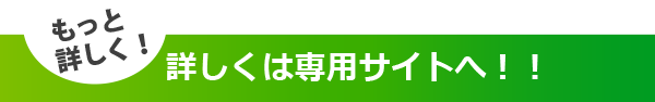 もっと詳しく! 詳しくは専用サイトへ!!